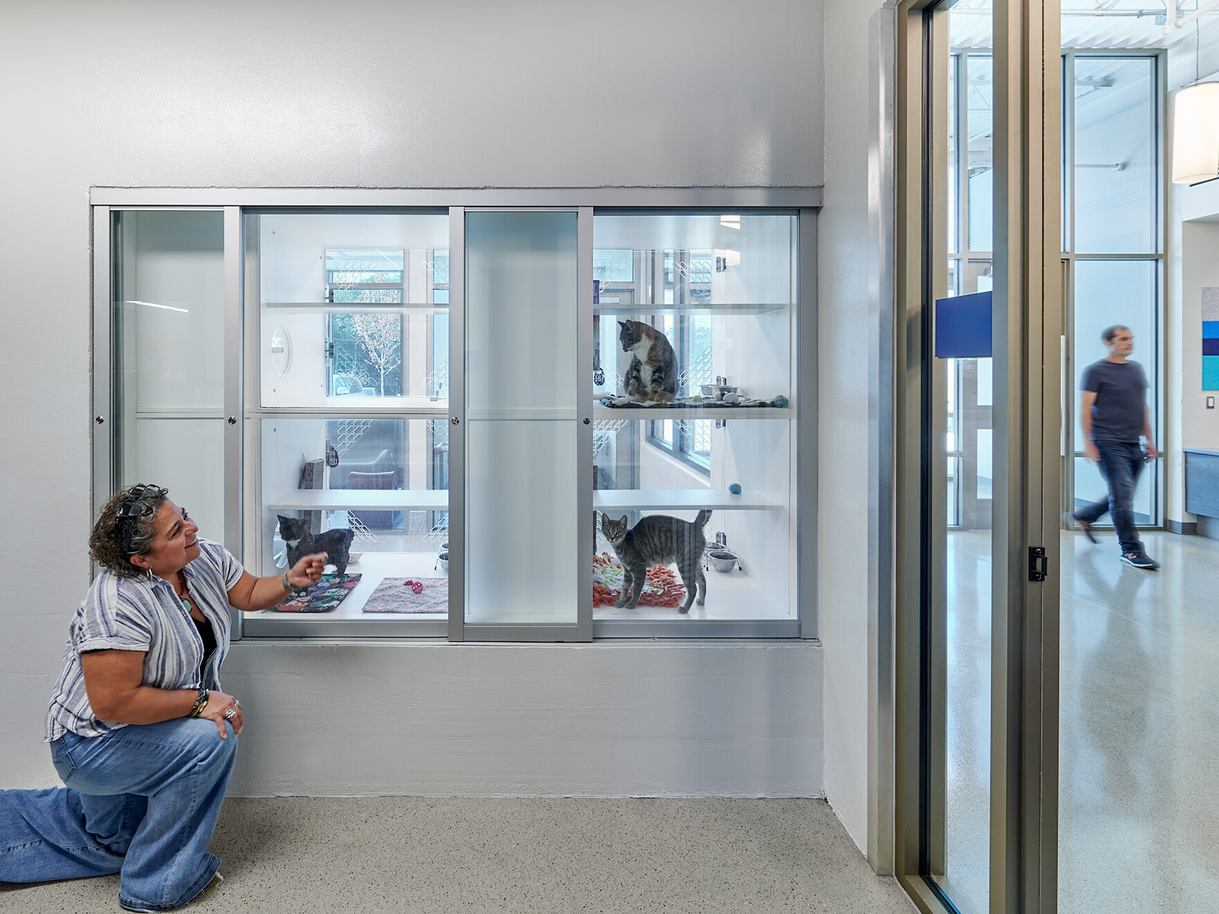 Animal Adoption Center