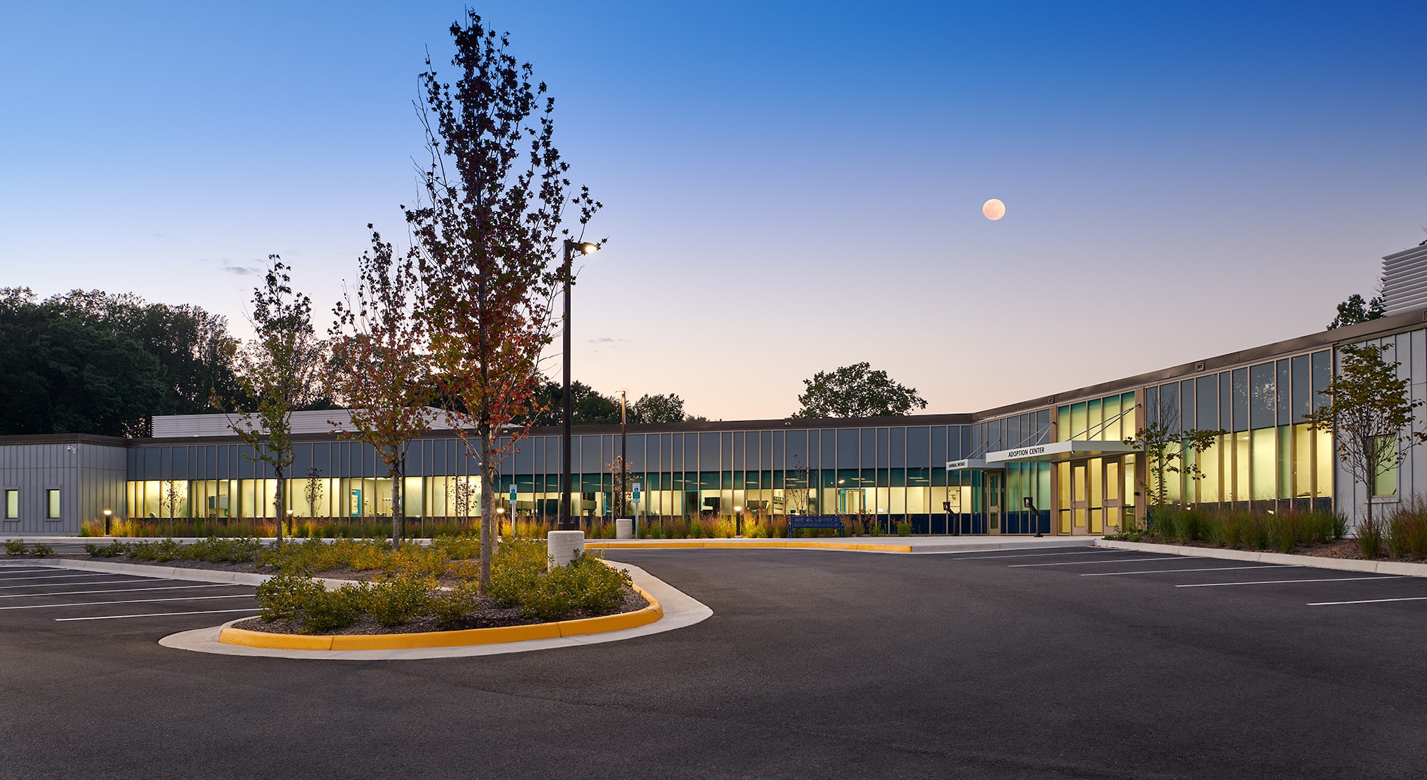 Animal Adoption Center