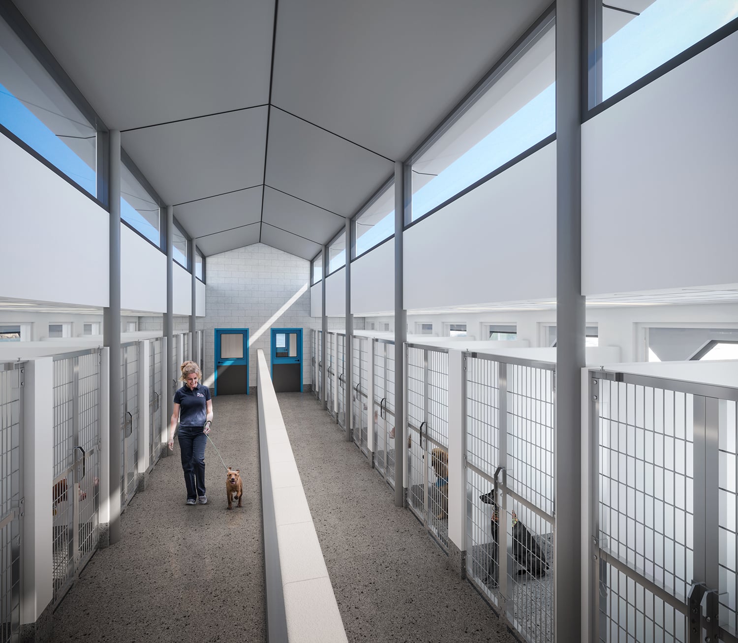 Animal Adoption Center